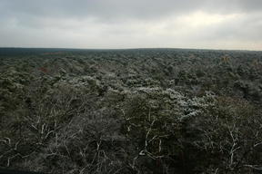 Wielkopolski Park Narodowy