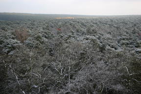 Wielkopolski Park Narodowy