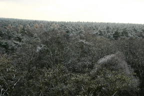 Wielkopolski Park Narodowy