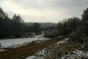 Wielkopolski Park Narodowy