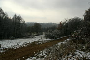 Wielkopolski Park Narodowy