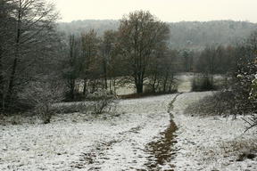 Wielkopolski Park Narodowy