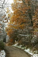 Wielkopolski Park Narodowy