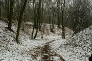 Wielkopolski Park Narodowy