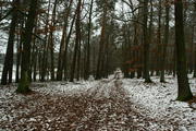 Wielkopolski Park Narodowy