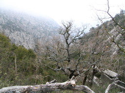 Termessos