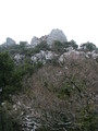 Termessos