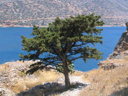 Wyspa Spinalonga