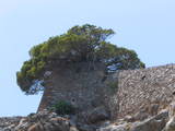 Twierdza wenecka na wyspie Spinalonga