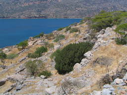 Kolonia trędowatych na wyspie Spinalonga