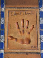 Ręka Chucka Norrisa w Cannes