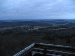 Wieczór na Wieżycy