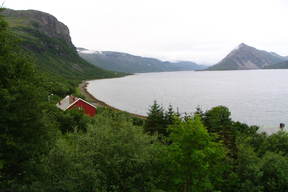 Norwegia pomiędzy Altą i Narwikiem