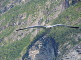 Fiord Geiranger