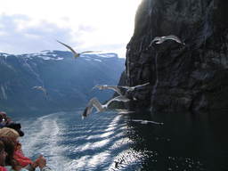 Fiord Geiranger