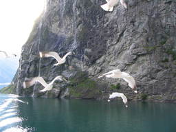 Fiord Geiranger