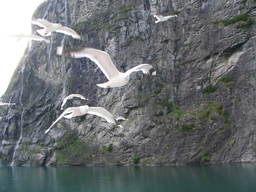 Fiord Geiranger