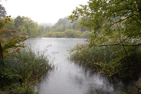 Jeziora Plitwickie w Deszczu..