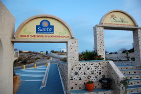 Santo Winery