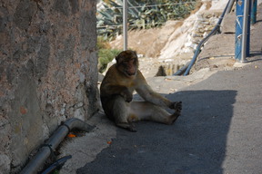 Gibraltar