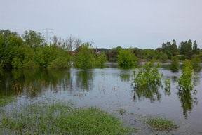 Powódź w maju 2010 nad Wartą (sobota).