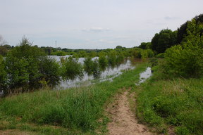 Powódź w maju 2010 nad Wartą (sobota).