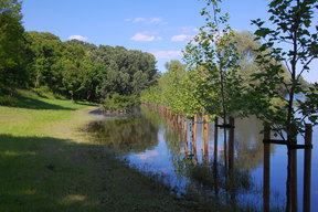 Warta przy ulicy Szelągowskiej.