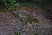 Okolice mauzoleum drugiej bitwy pod Grunwaldem.