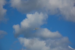 Bombowiec Avro Vulcan