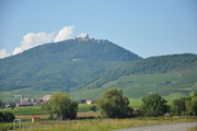 Zamek Haut-Koenigsbourg