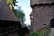 Zamek Haut-Koenigsbourg