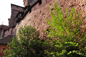 Zamek Haut-Koenigsbourg