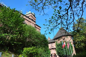 Zamek Haut-Koenigsbourg