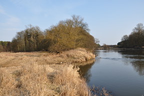 Ostrów Radzimski