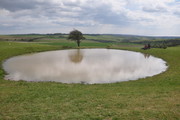 South Downs Way