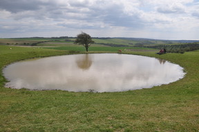 South Downs Way