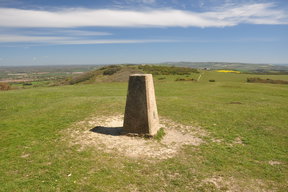 South Downs Way