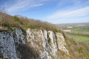 South Downs Way