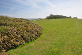 Birling Gap