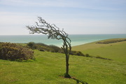 Birling Gap