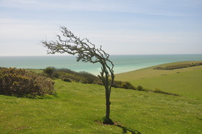 Birling Gap