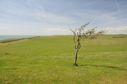 Birling Gap