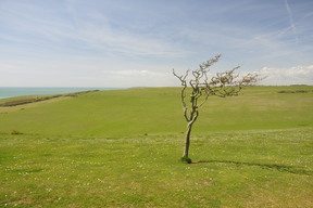 Birling Gap