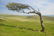 Birling Gap