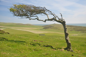 Birling Gap