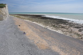 Birling Gap