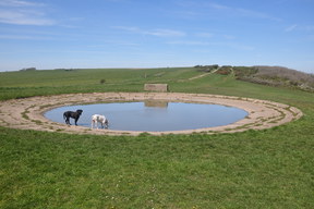 South Downs Way