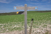 South Downs Way