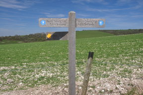 South Downs Way