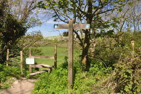 South Downs Way